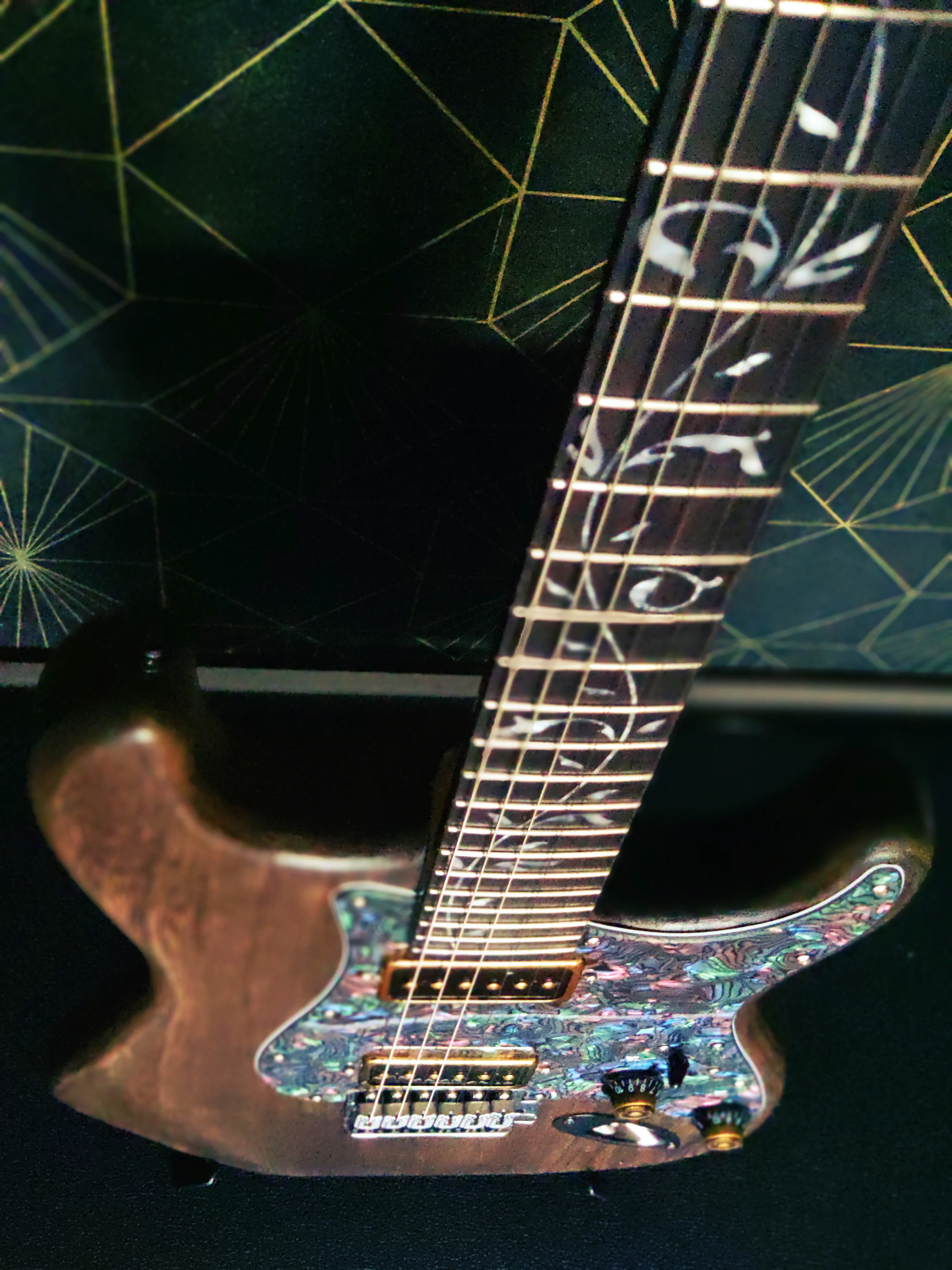 Steamwood Abalone Vintage - imagen 10